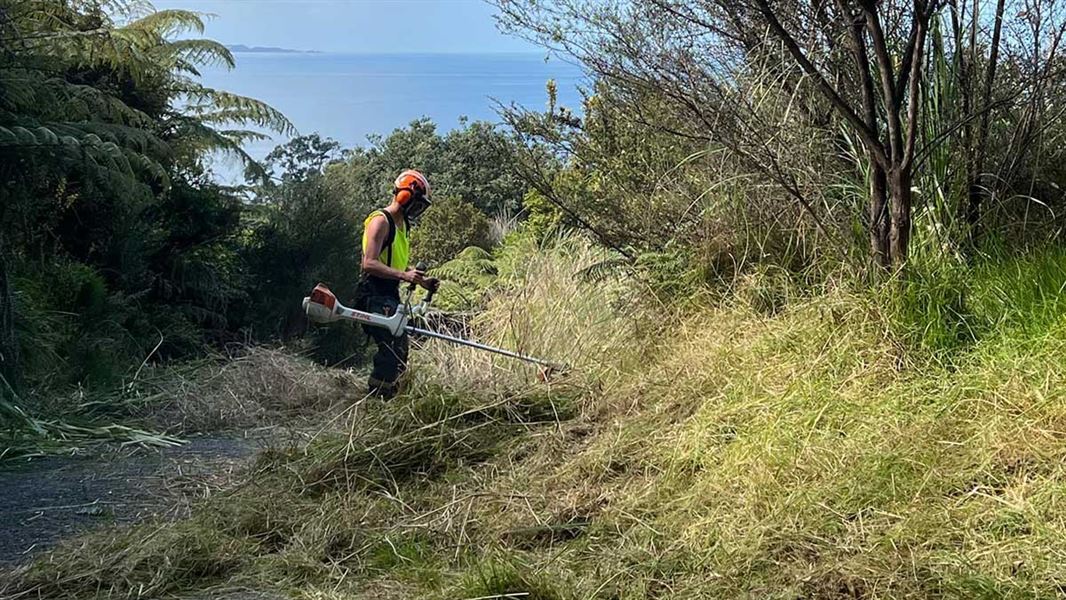 Weed whacker at work. 