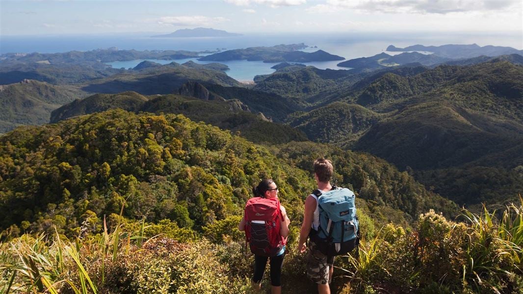 Trampers admire the view from Hirakimata/Mt Hobson summit