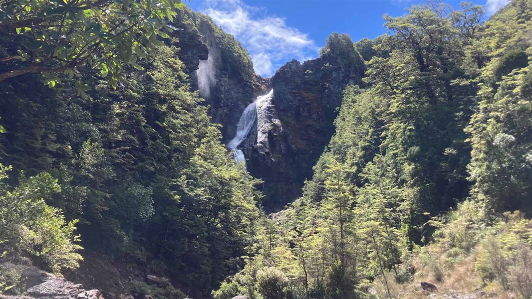 Tall waterfalls amongst mountain beech. 