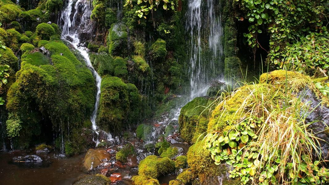 Waitonga Falls, Tongariro National Park. 