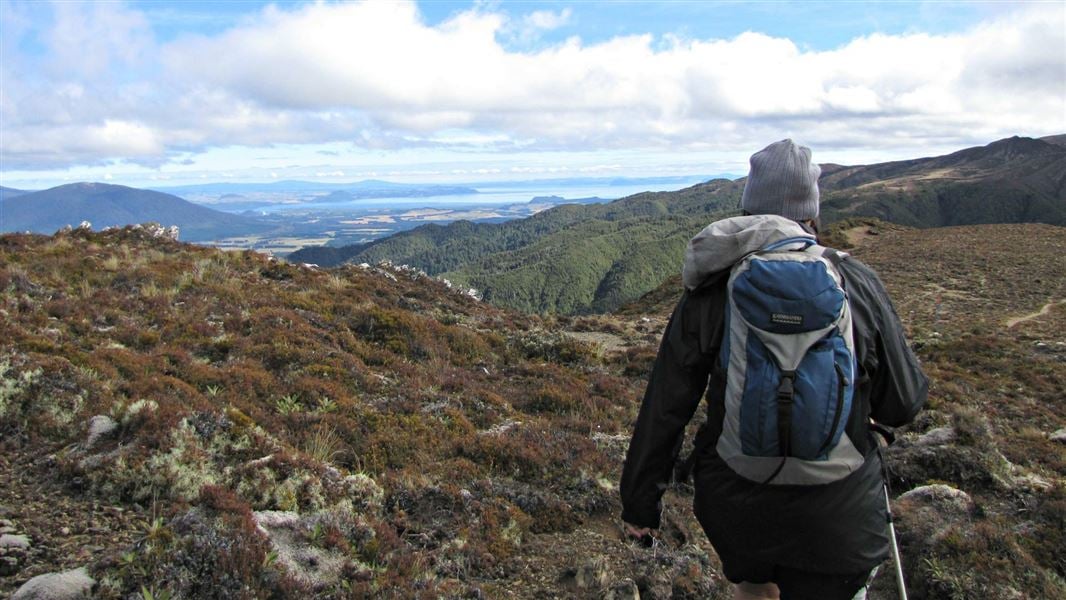 On the Urchin-Umukarikari track. 