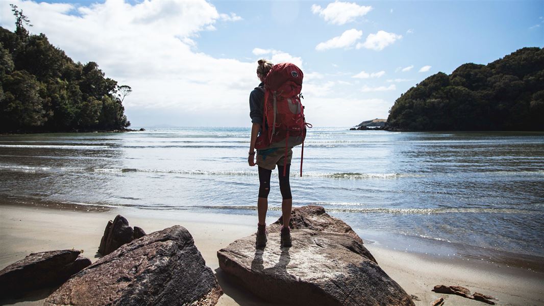 Rakiura Day Walk: Rakiura National Park, Southland Region