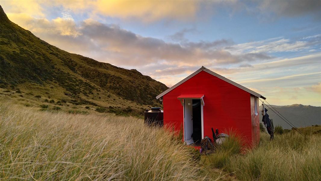 Healey Creek Hut 