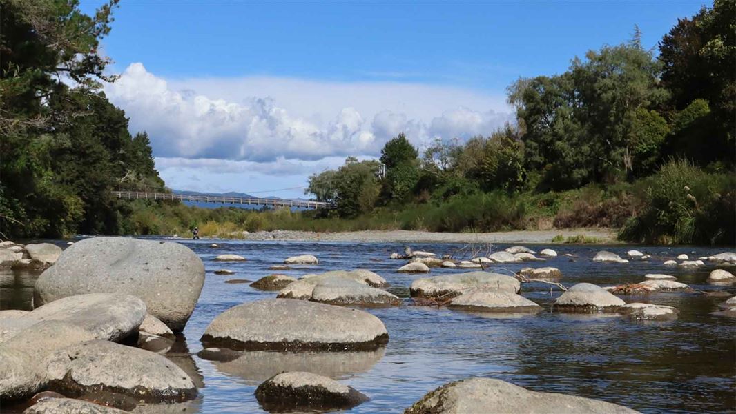 Tongariro River from below the Major Jones Bridge. 