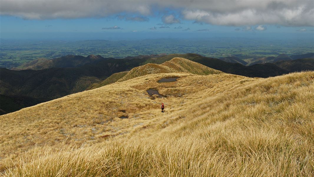 Person walking through mountains in Toka Ngamoko Range. 