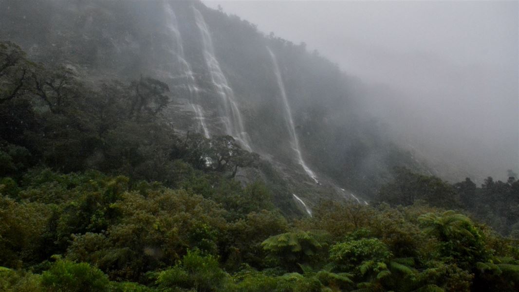 Milford track.