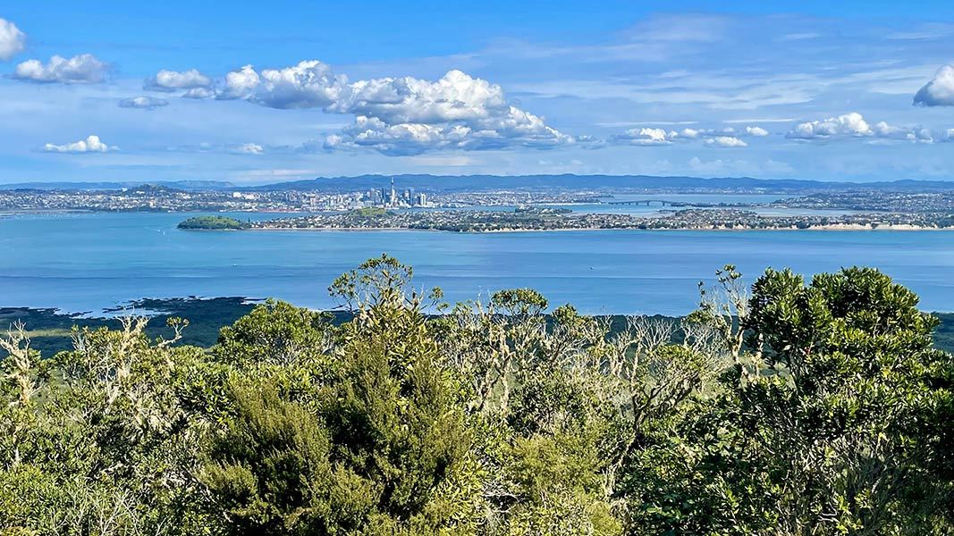 View of Auckland from the Rangitoto Summit Track