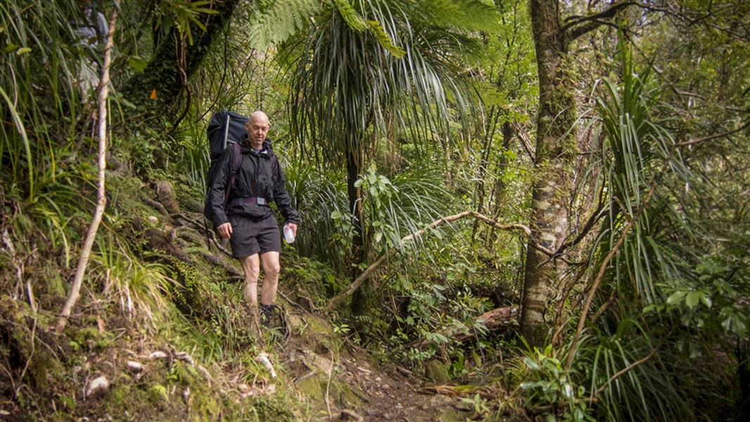 Lower Waiohine Track 