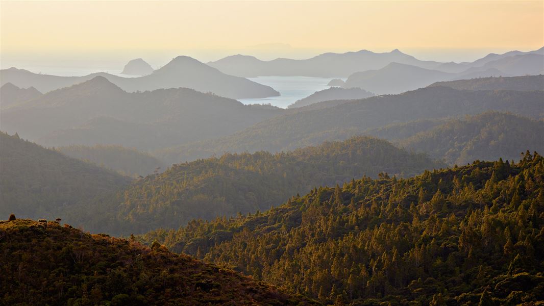 Great Barrier Island Aotea. 