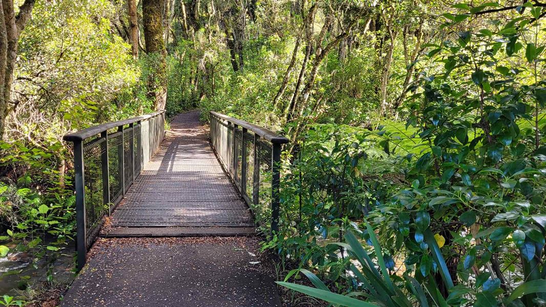 Bridge crossing the Mangawhero River entering the forest. 