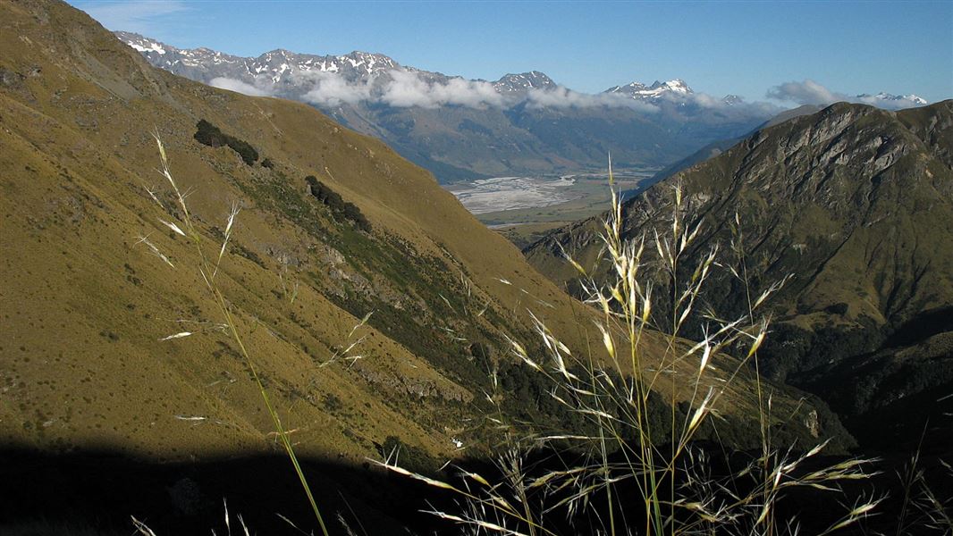 View from Whakaari towards the Dart River