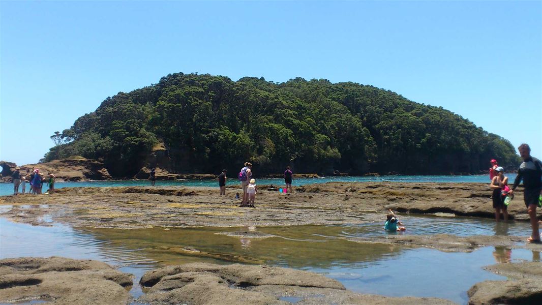 Cape Rodney-Okakari Point Marine Reserve (Goat Island). 