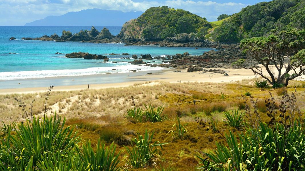 Tāwharanui Marine Reserve. 