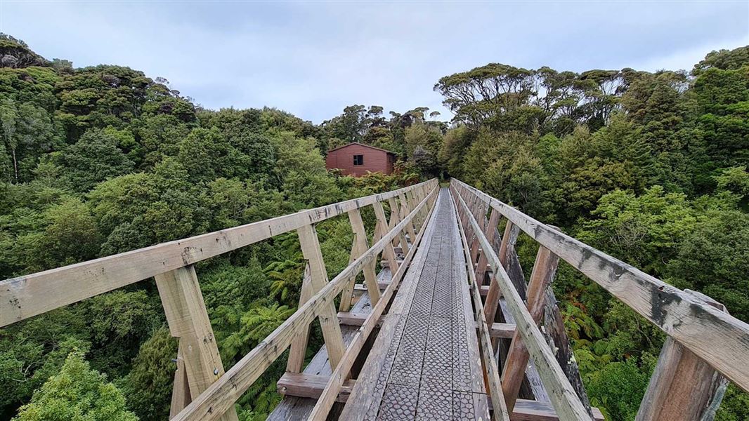 View from the perspective of a walker on a bridge over a forested valley.