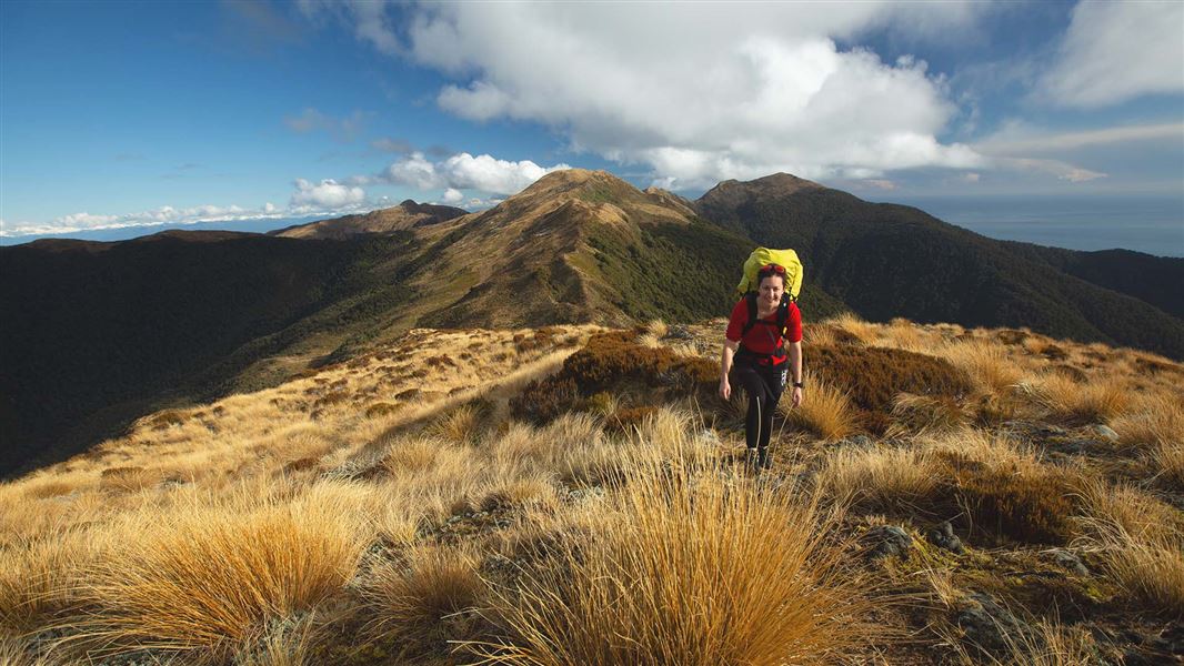 A tramper on the ridgeline above Moonlight Tops Hut, Paparoa Track.