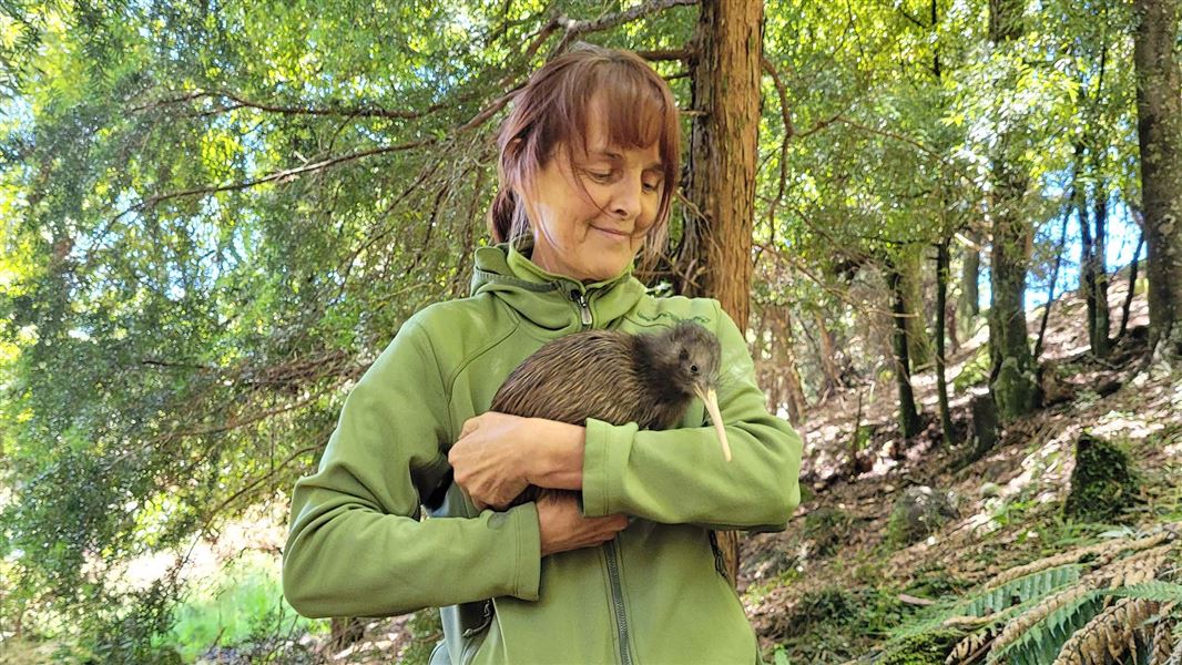 Biodiversity Ranger Kelly Brider holds the young kiwi ready for release.