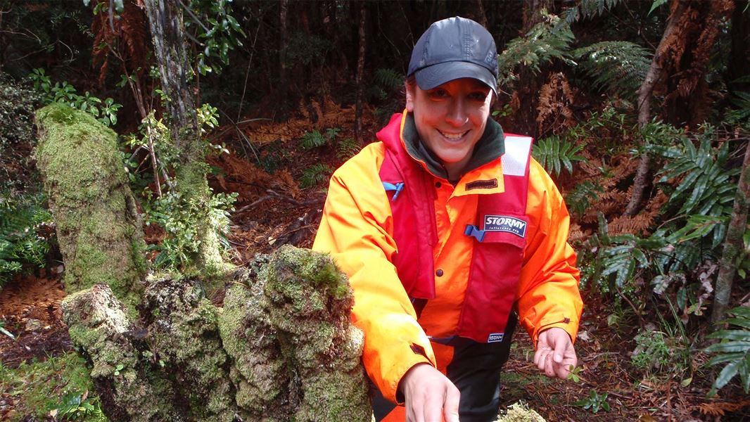 A person in high vis clothing with their hand on what looks like a tree stump.