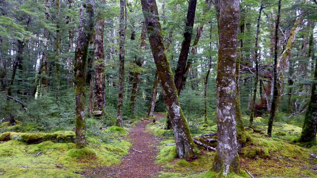 Borland Nature Walk