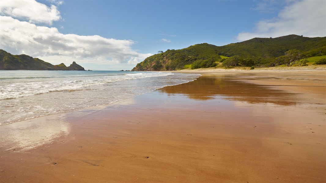 Harataonga Beach. 