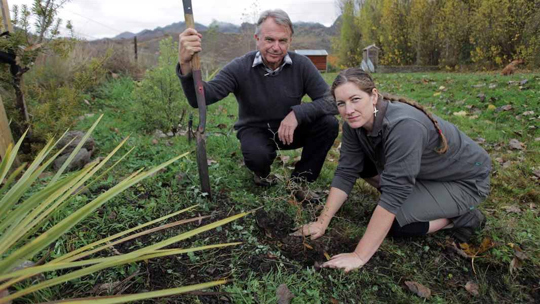 Planting trees. 