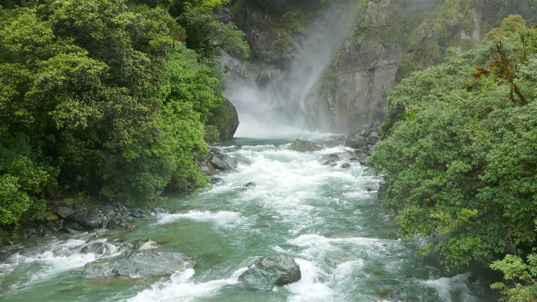 Hollyford Track: Hidden Falls Track.