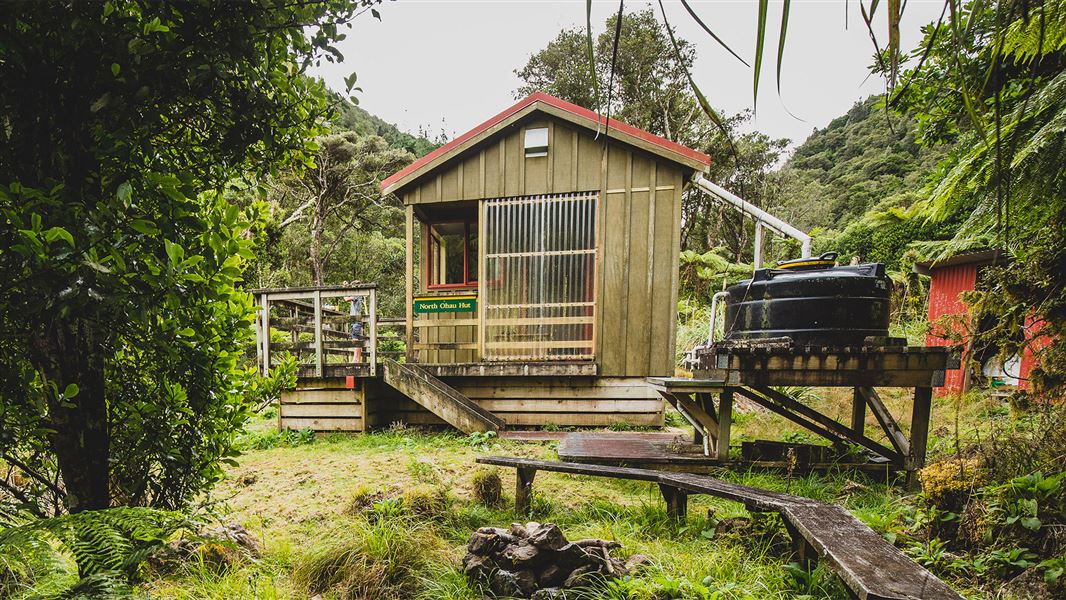 Small wooden building in bush area.