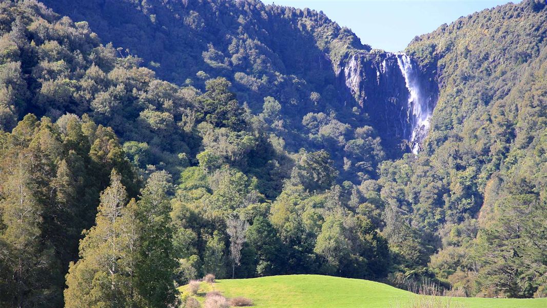 Wairere Falls 