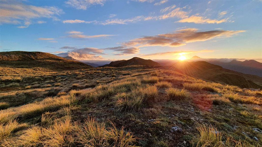 Kelly Range, Arthur's Pass National Park. 