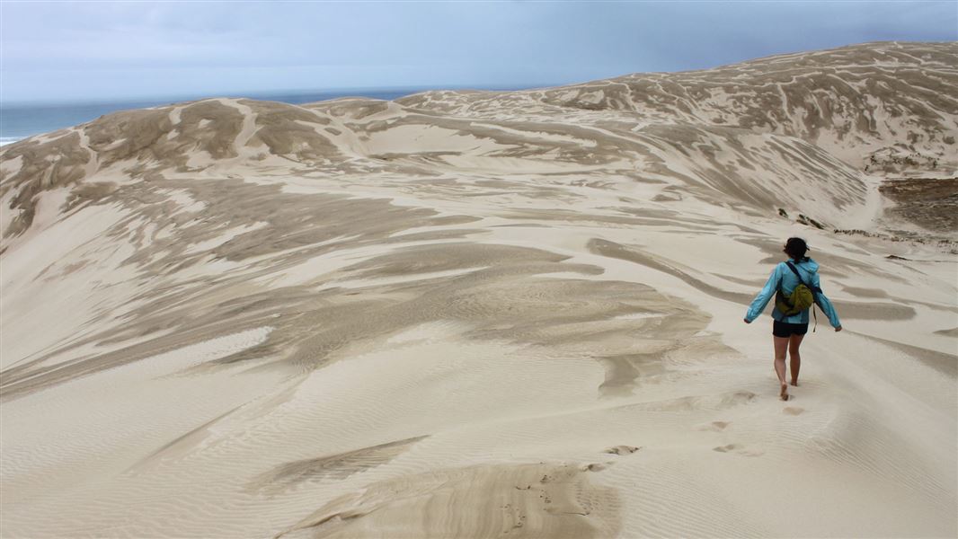 A person walking over giant sand dunes.