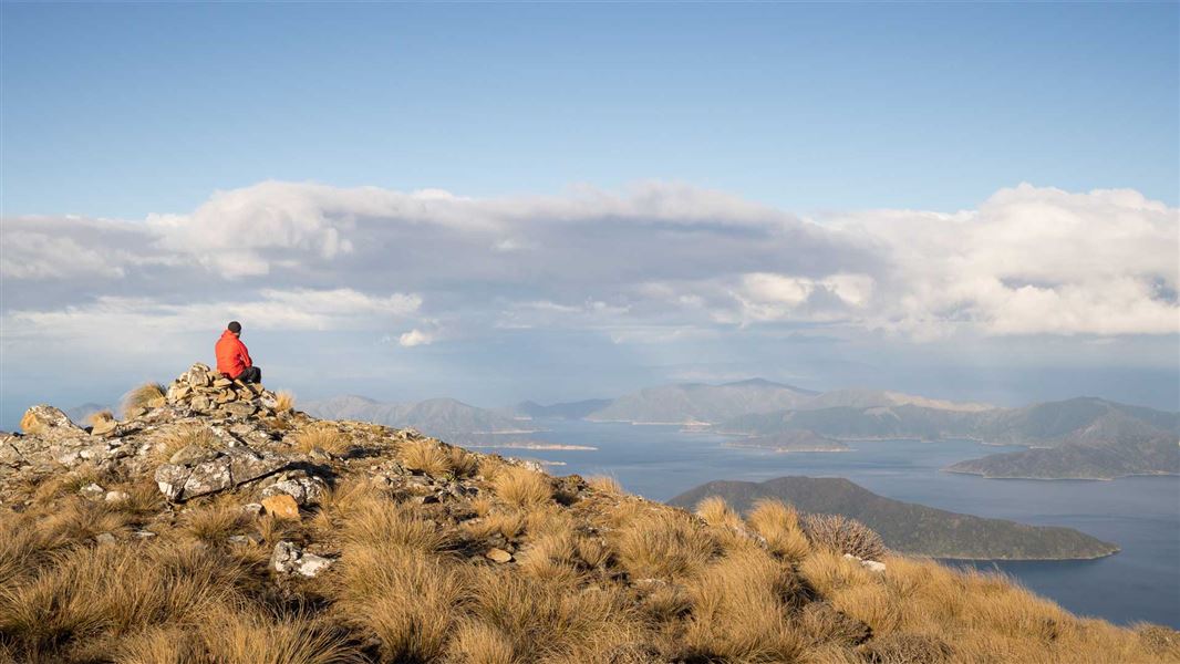 Hiker on Mount Stokes Track. 