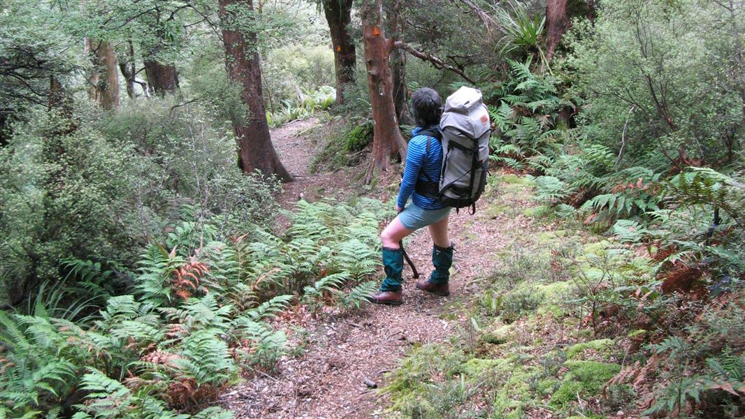 Person on Kelly Knight Hut Track. 