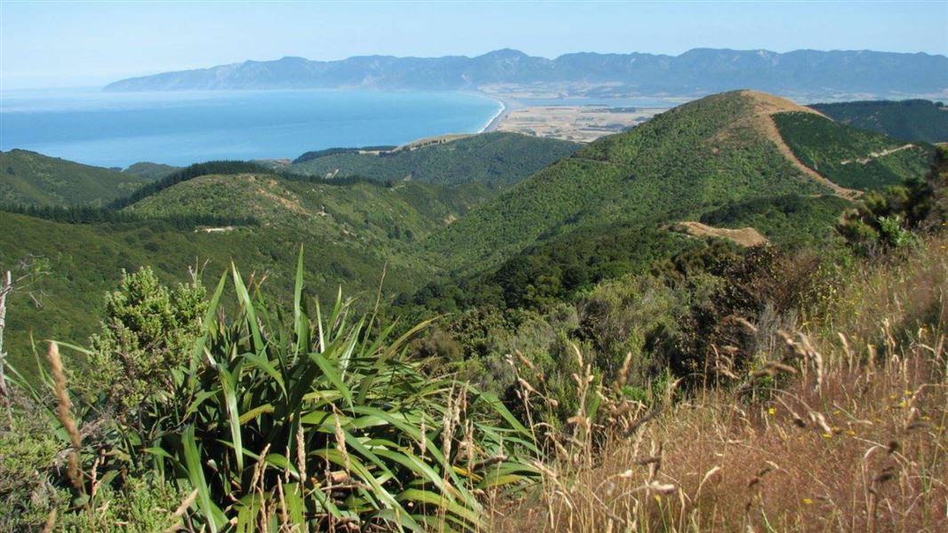 Washpool track above Te Kopi.