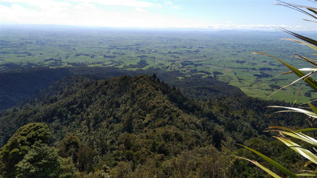 Wharauroa and Mahaukura Lookouts.