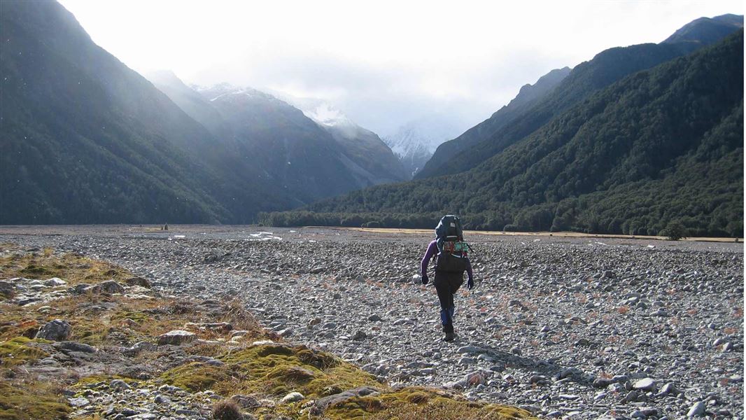 Carrington Hut Route.