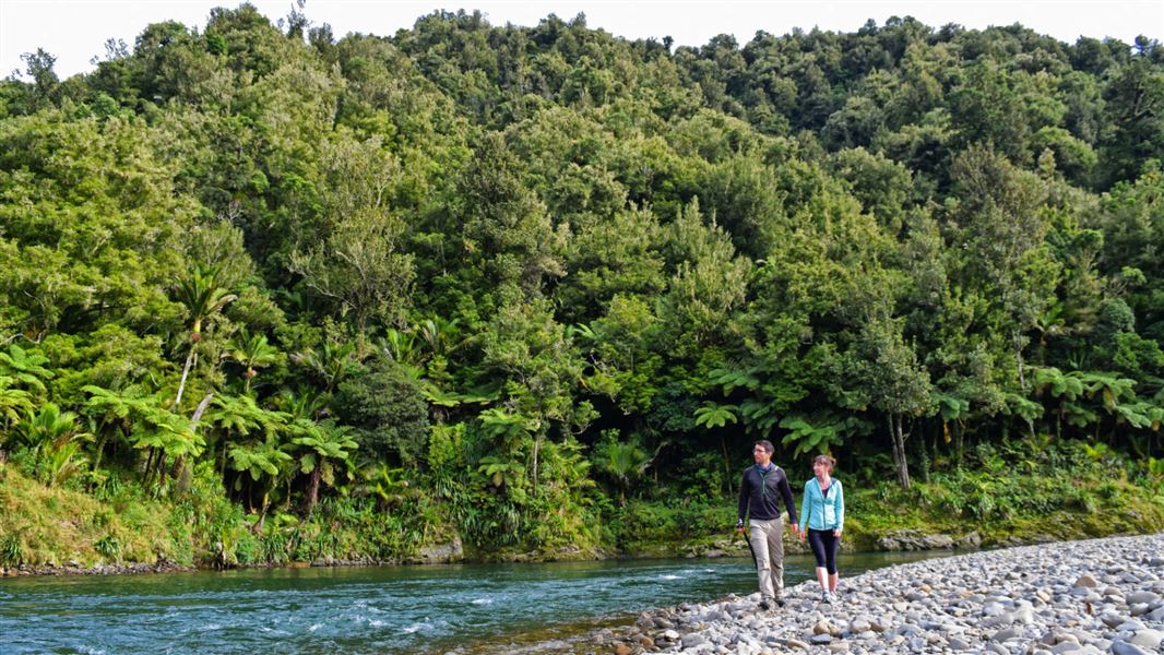 Walking in Waioeka Conservation Area.