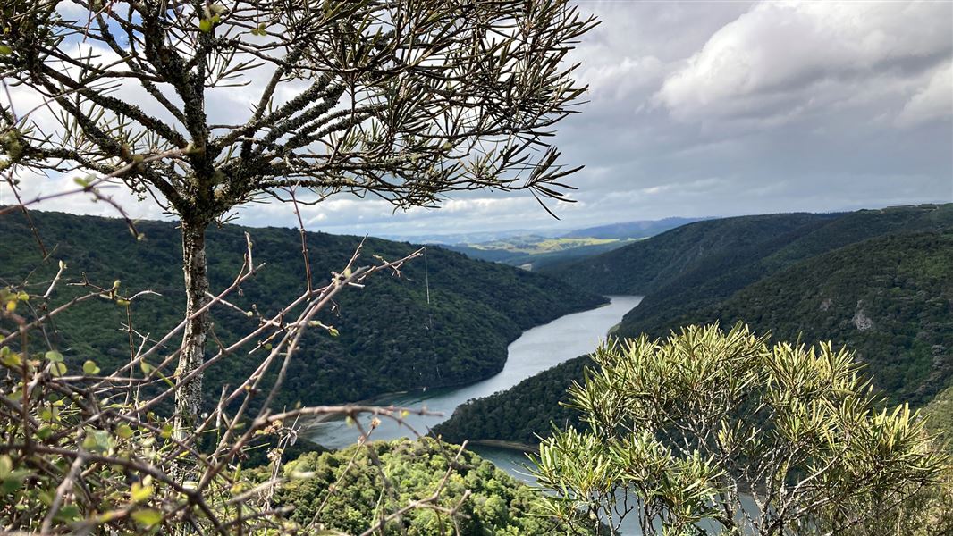 Taieri River Track: Waihola - Taieri Mouth area, Otago region