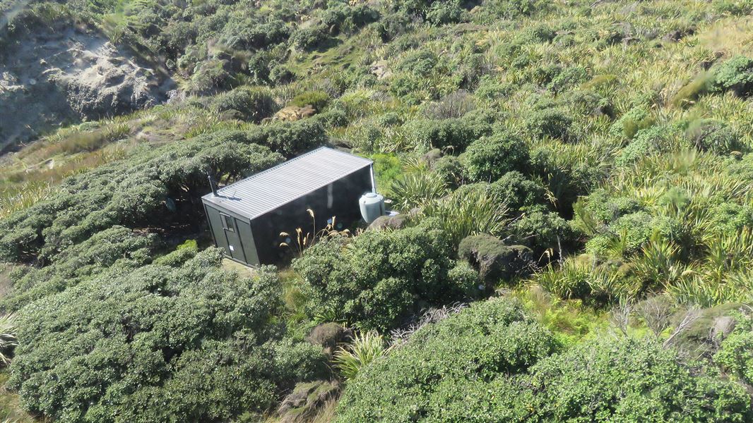 Hut surrounded by trees