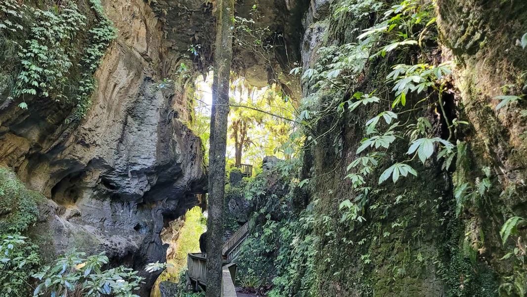 Natural rock archway with green ferns and wooden path with stairs. 