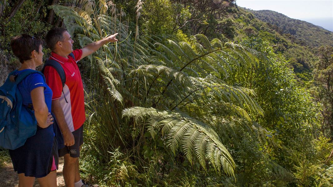 Walkers on Kapiti Island. 