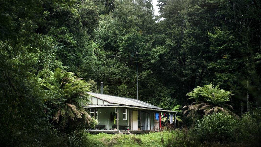 Central Whirinaki Hut. 