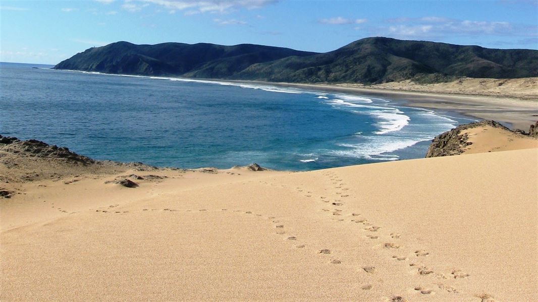 Footprints on Te Werahi beach.