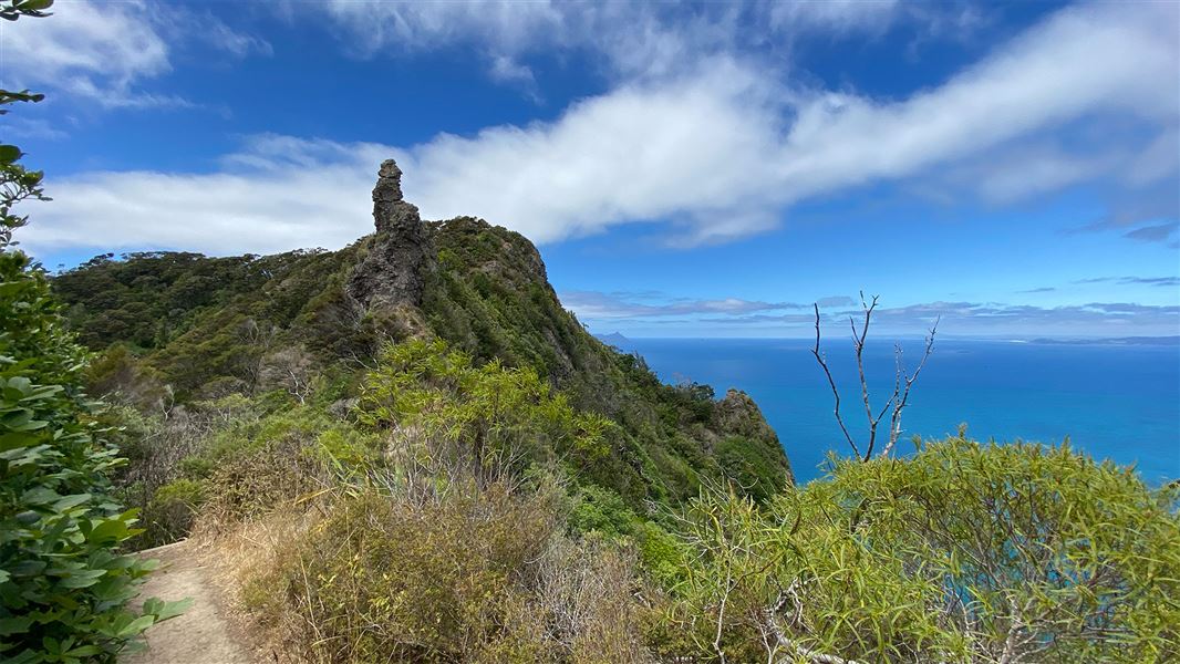 Walking track on hill with view of sea.