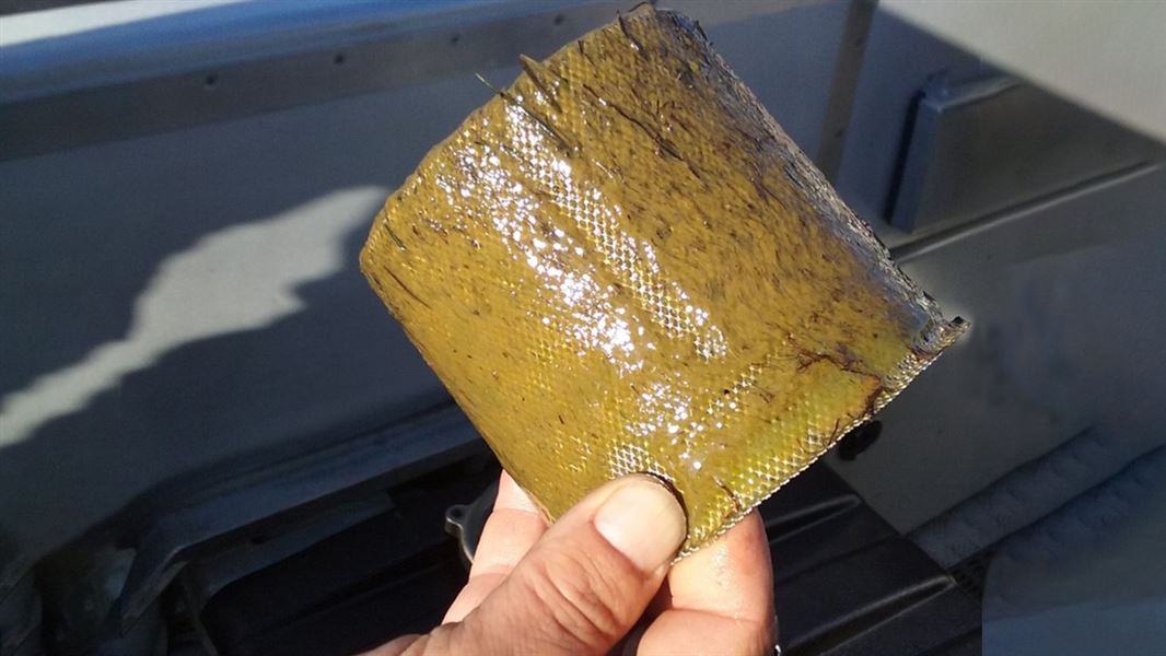 A close up of a water filter coated in a green sludge.