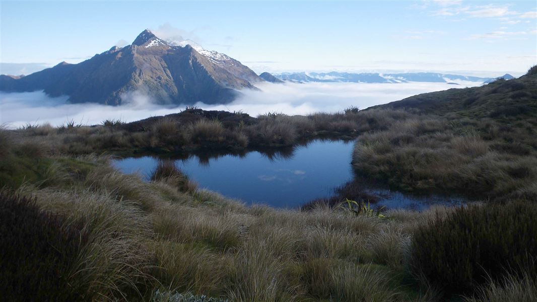 Mt Kendall, Biggs Tops. 