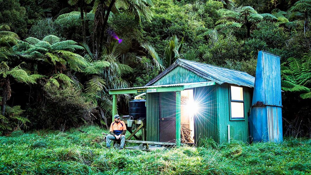 Nikau Flat Hut. 