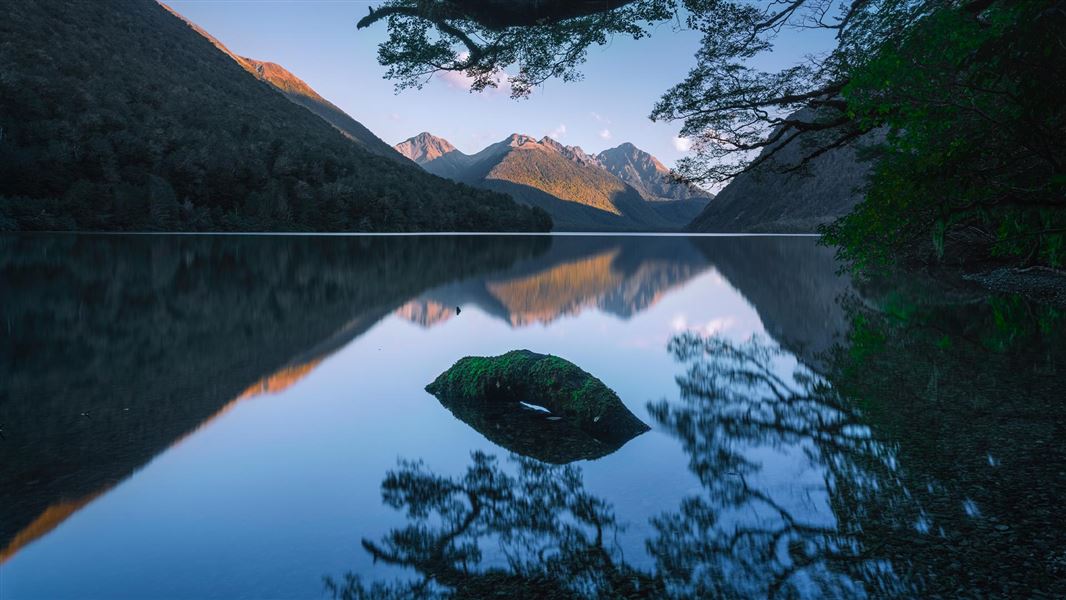 Lake Gunn Nature Walk