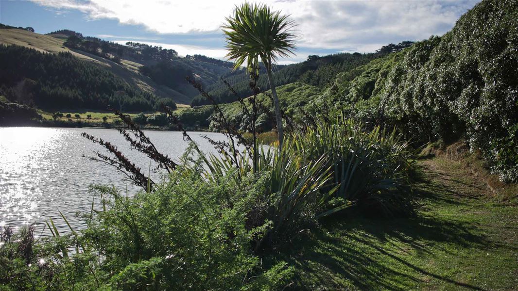 Walk around Tomahawk Lagoon. 