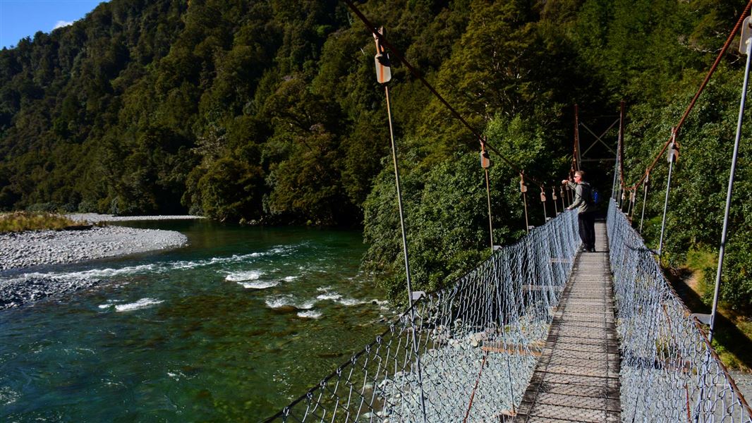 Swingbridge on the Hollyford Track