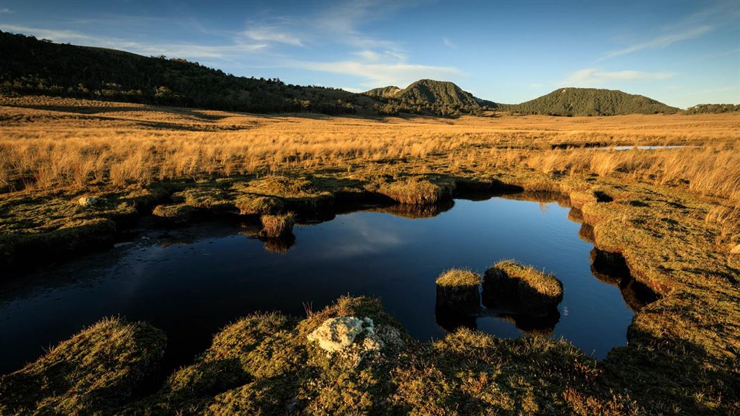 Tarn below Poor Petes Hut, 1000 Acre Plateau. 