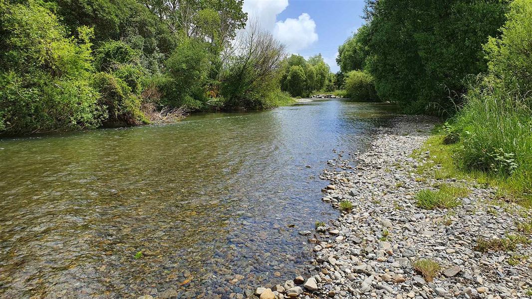 Waikanae River. 